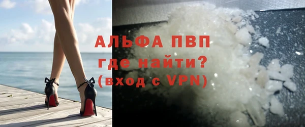 дмт Бердск