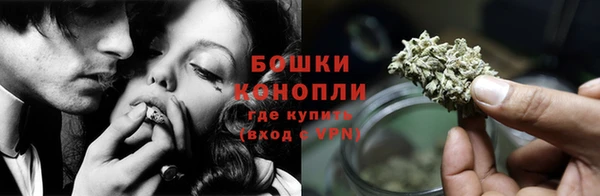 спайс Гусь-Хрустальный