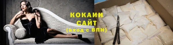 дмт Бердск