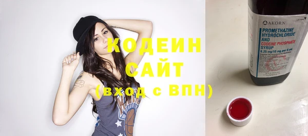 дмт Бердск