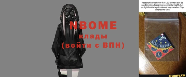 дмт Бердск