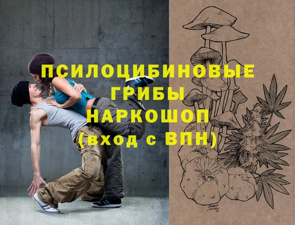 МДПВ Заводоуковск