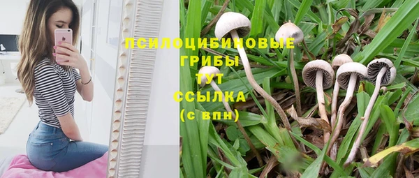 спиды Гусиноозёрск