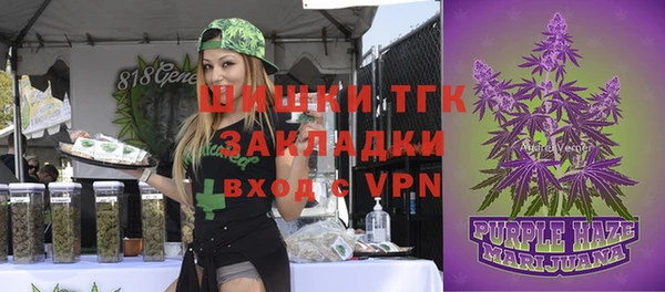 МДПВ Артём