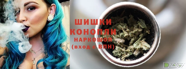 дмт Бердск