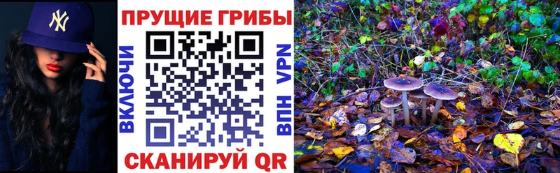 дарк нет какой сайт  Давлеканово  Галлюциногенные грибы ЛСД 